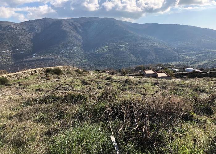 Land plot in Pitrofos