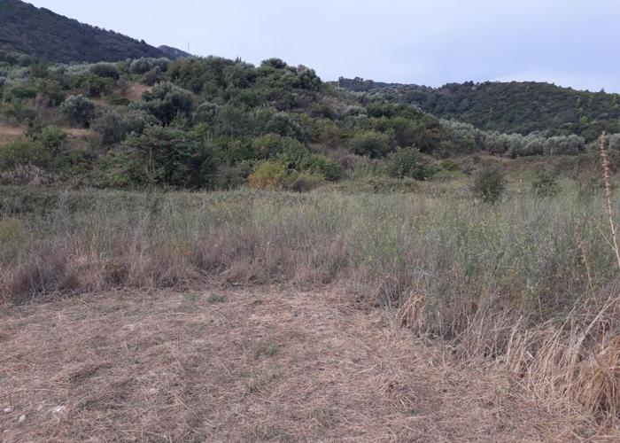 Land plot in Psathopyrgos