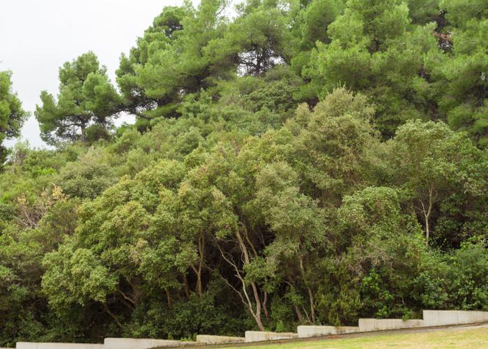 Βίλα Ραφαέλα στην Κρυοπηγή Χαλκιδικής