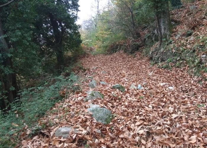 Γεωτεμάχιο στον Βόλο