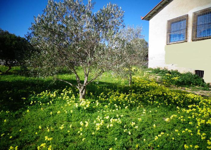 House in Pyrgi Chios