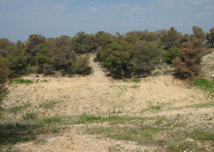 Land plot in Porto Cheli