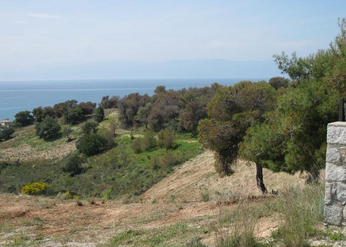 Land plot in Porto Cheli