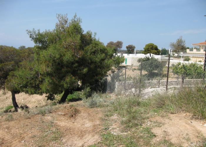 Land plot in Porto Cheli