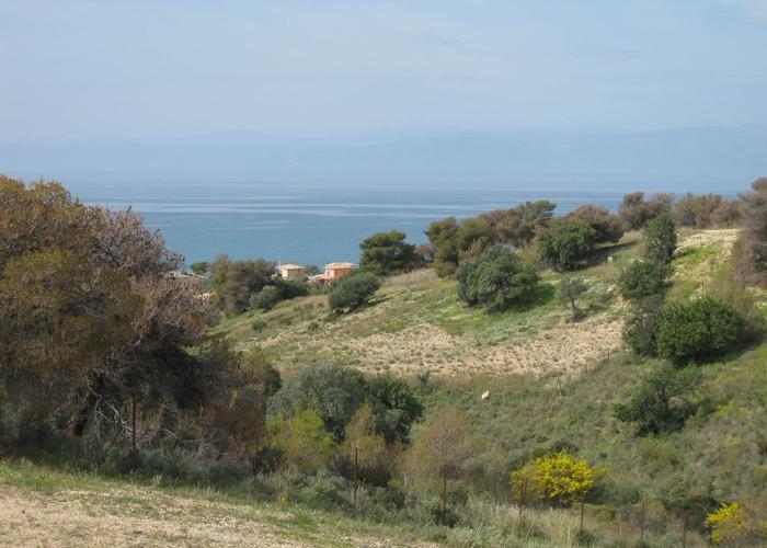 Land plot in Porto Cheli