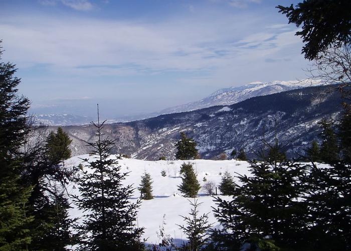 Γεωτεμάχιο στον Τυμφρηστό