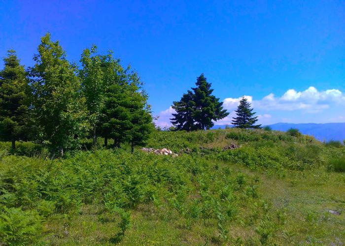 Land plot in Tymfristos