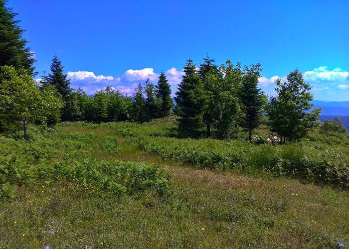 Land plot in Tymfristos