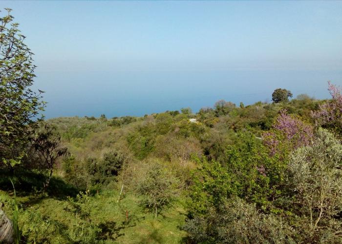 Land plot in Lampinou Magnisia