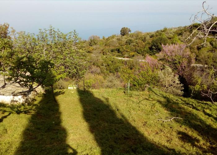 Γεωτεμάχιο στην Λαμπινού Μαγνησίας