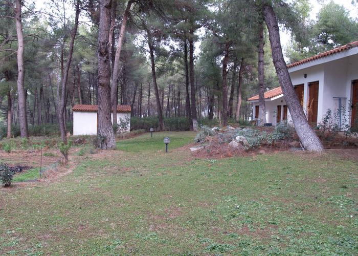 House Forest in Sani Chalkidiki