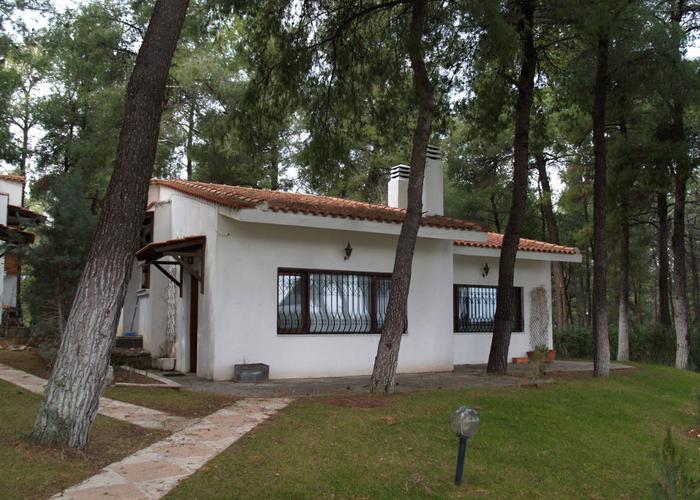 House Forest in Sani Chalkidiki