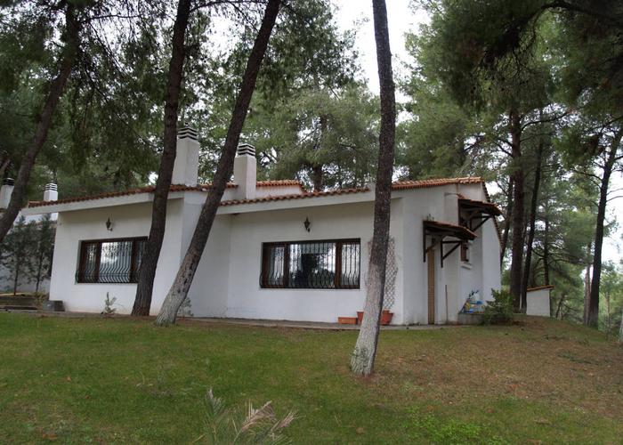 House Forest in Sani Chalkidiki