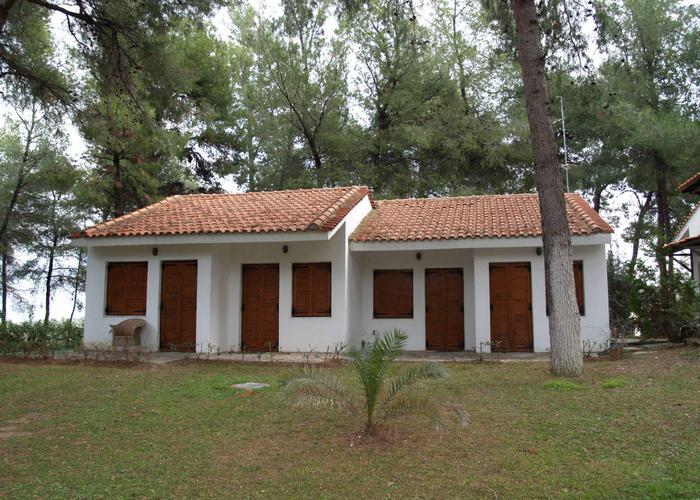 House Forest in Sani Chalkidiki