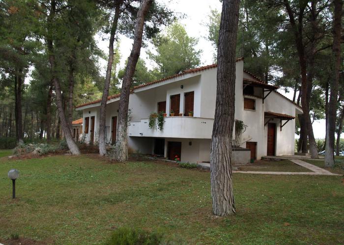 House Forest in Sani Chalkidiki