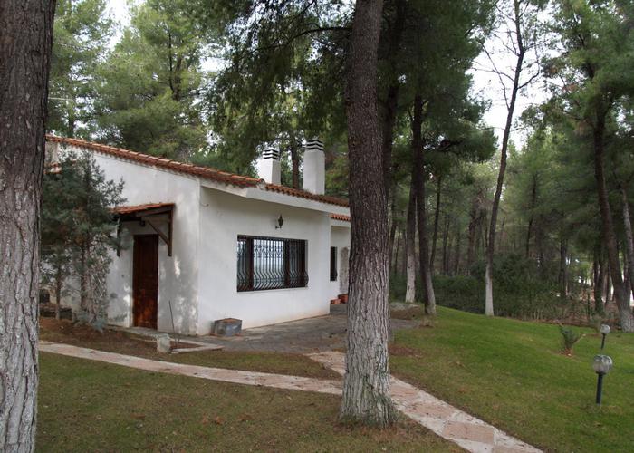 House Forest in Sani Chalkidiki