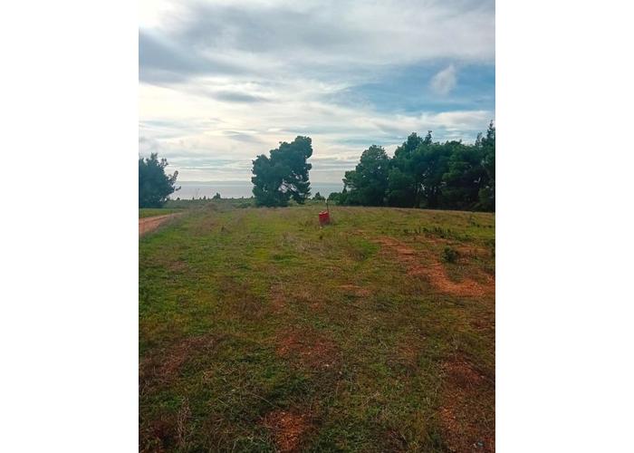 Land plot in Chalkidiki