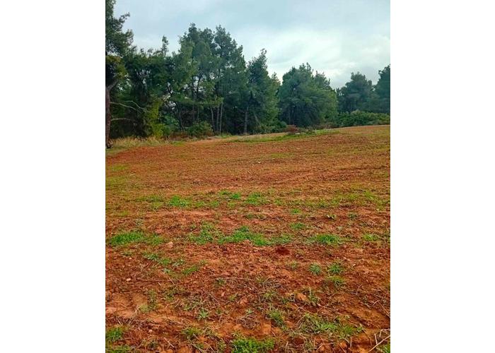 Land plot in Chalkidiki