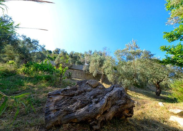 Μονοκατοικία στην Πλατανιά