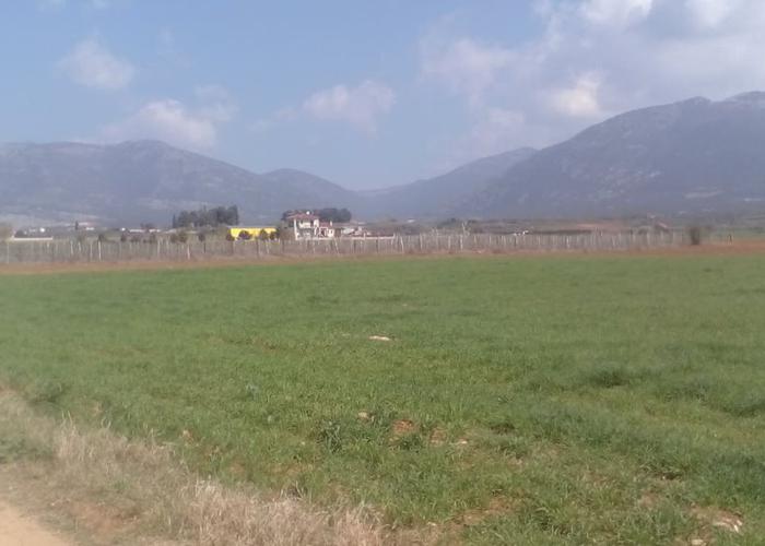 Land plot in Kalifitos