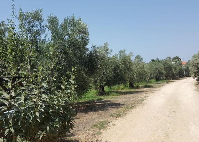 Land plot in Paralia Ofriniou