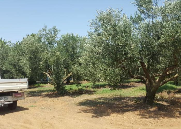 Land plot in Paralia Ofriniou