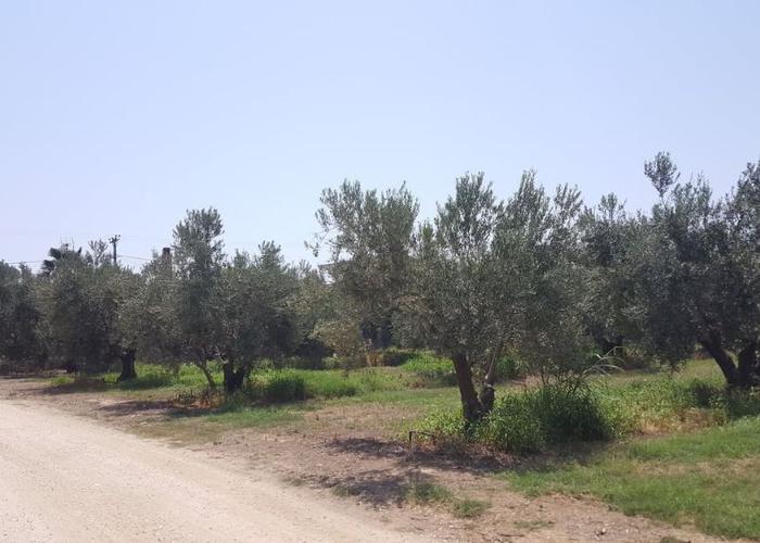 Land plot in Paralia Ofriniou