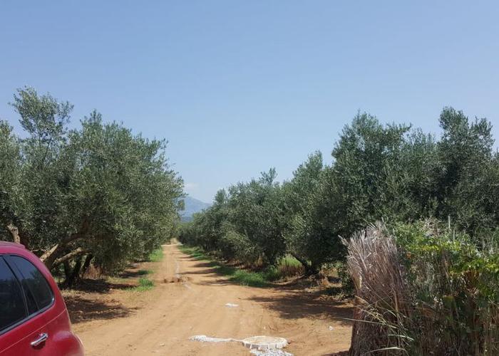 Land plot in Paralia Ofriniou