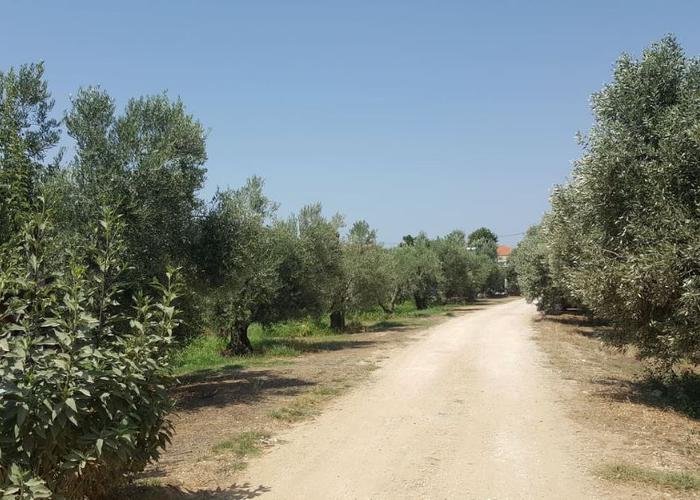 Land plot in Paralia Ofriniou