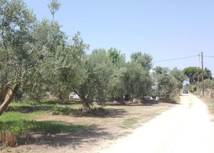 Land plot in Paralia Ofriniou