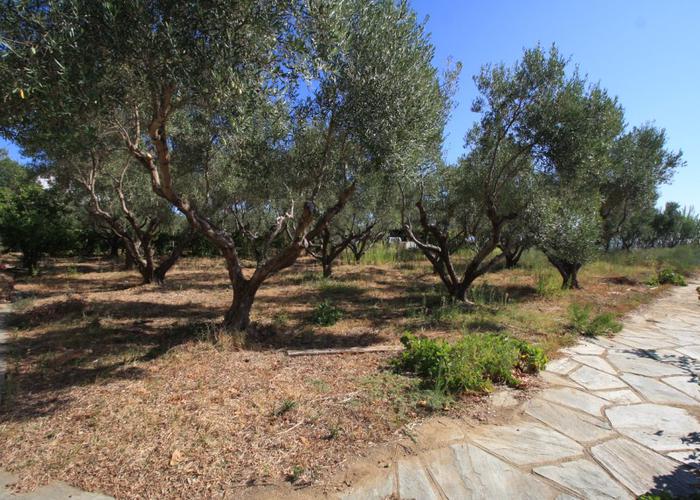 Villa in Akti Salonikiou Sithonia