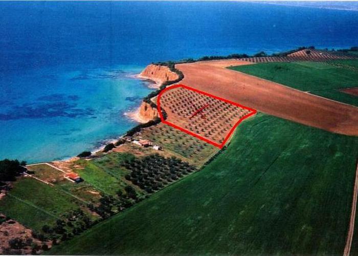 Land plot 57062154 in Chalkidiki