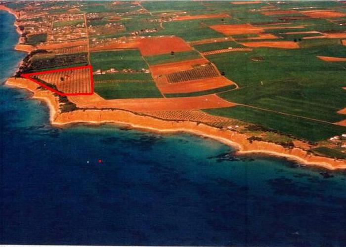 Land plot 57062154 in Chalkidiki