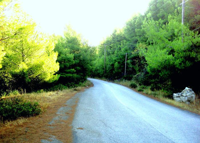 Γεωτεμάχιο στην Εύβοια