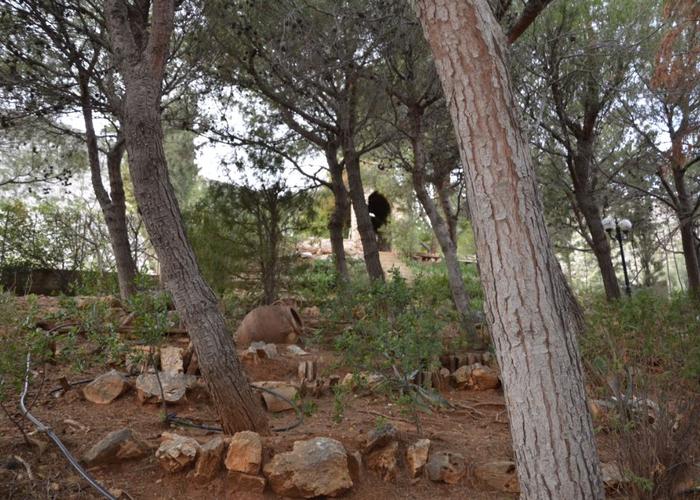 Μονοκατοικία στην Ανάβυσσο