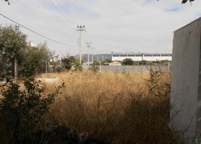 Γεωτεμάχιο στον Ασπρόπυργο