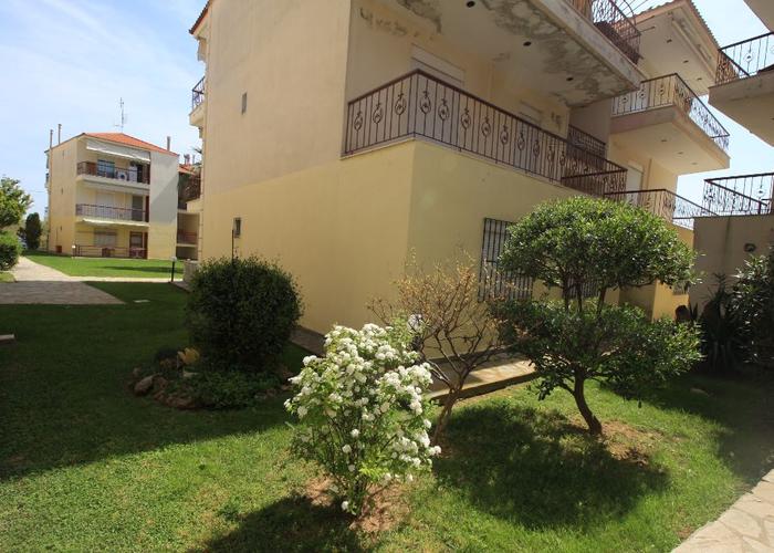 Apartment in Chalkidiki