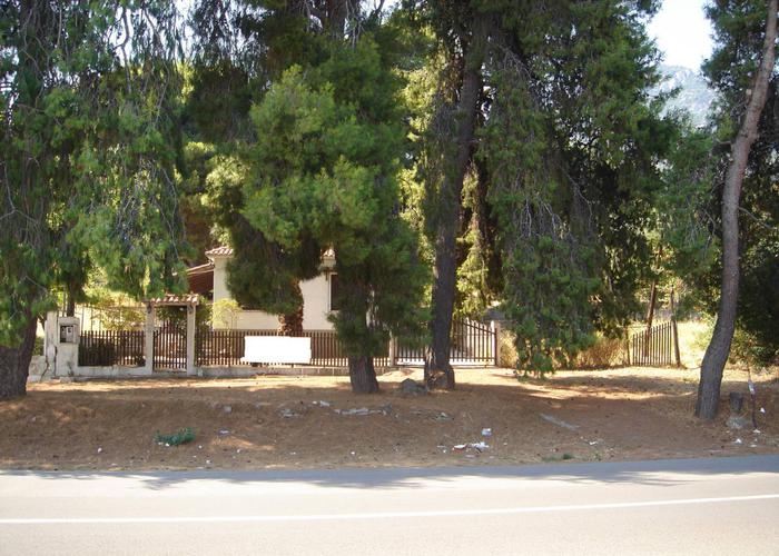 Γεωτεμάχιο 61176508 στην Αρκίτσα