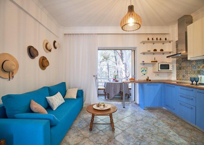 Pet friendly apartment in Metamorfosi Chalkidiki