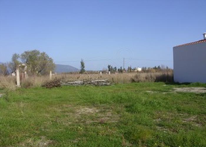 Land plot in Skarfia