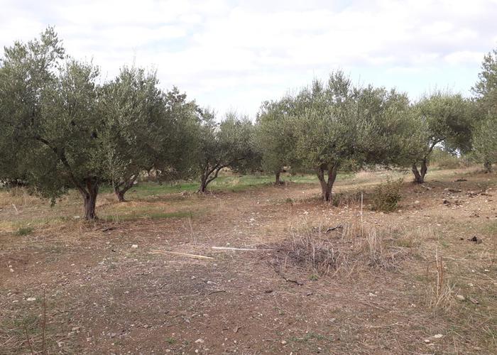 Γεωτεμάχιο στο Ρέθυμνο Κρήτη