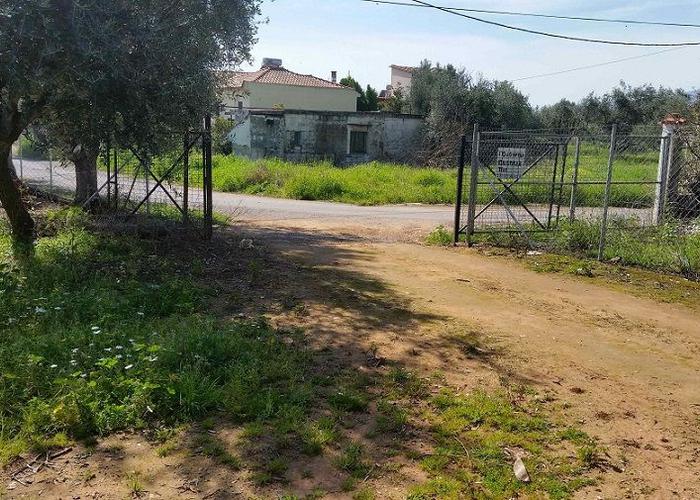 Land plot in Messinia