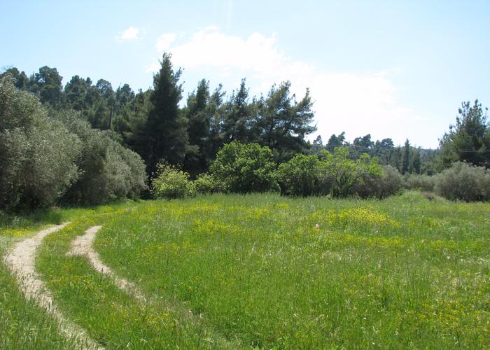 Γεωτεμάχιο 63452868 στην Κασσάνδρα Χαλκιδικής