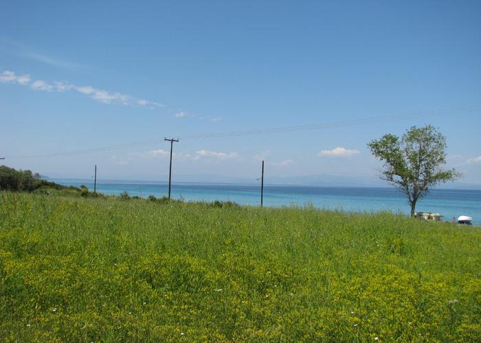 Land plot 63452868 in Kassandra Chalkidiki