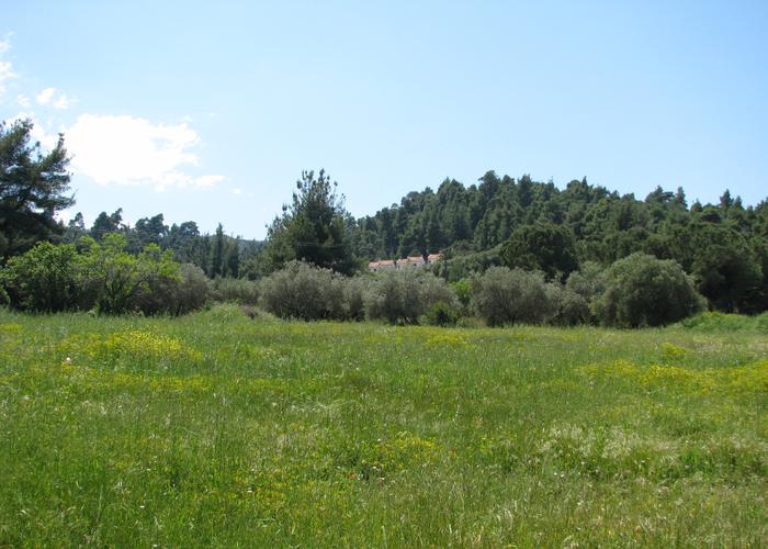 Land plot 63452868 in Kassandra Chalkidiki