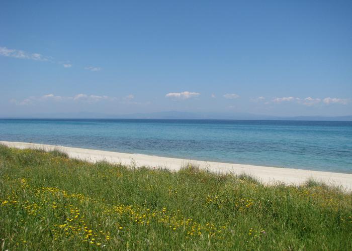 Land plot 63452868 in Kassandra Chalkidiki