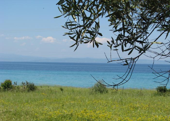 Land plot 63452868 in Kassandra Chalkidiki