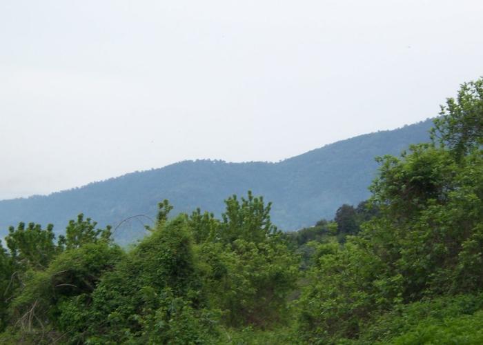 Land plot in Panagia Thasos