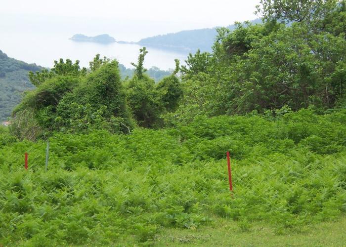 Land plot in Panagia Thasos