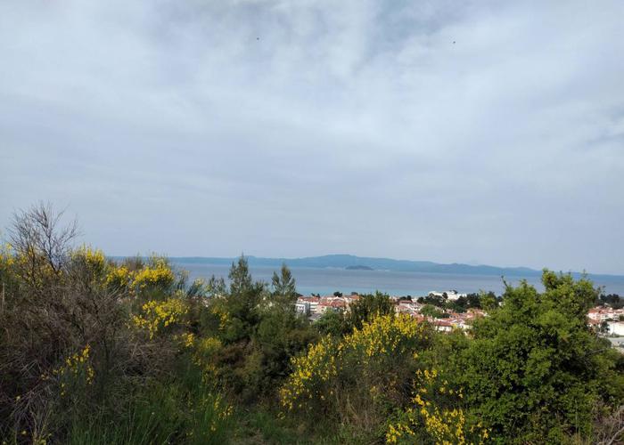 Land plot in Chanioti Chalkidiki